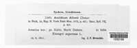 Dicaeoma allenii image